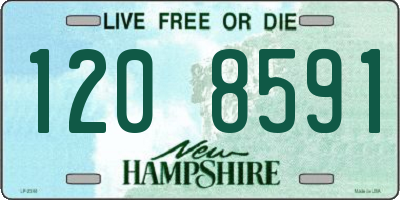 NH license plate 1208591