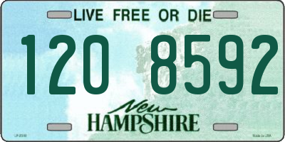 NH license plate 1208592