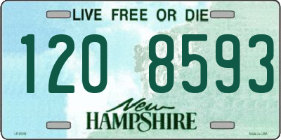 NH license plate 1208593