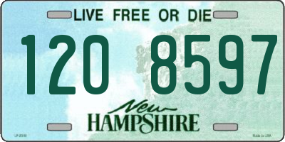 NH license plate 1208597