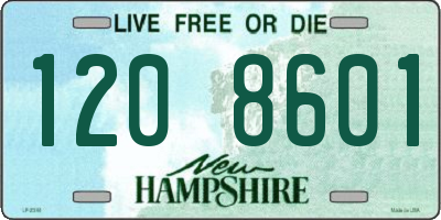 NH license plate 1208601