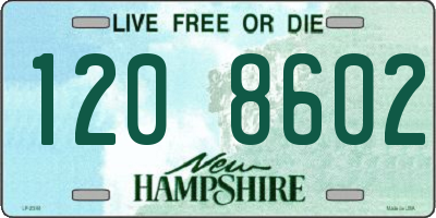 NH license plate 1208602