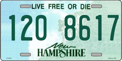 NH license plate 1208617