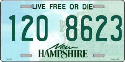 NH license plate 1208623