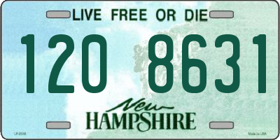NH license plate 1208631