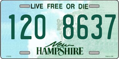 NH license plate 1208637