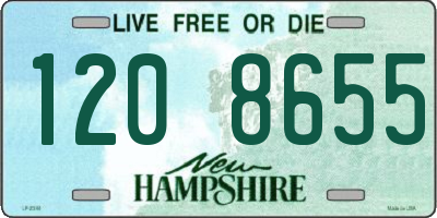 NH license plate 1208655