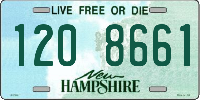 NH license plate 1208661