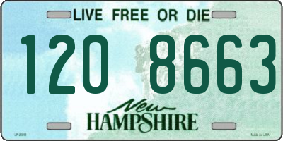 NH license plate 1208663