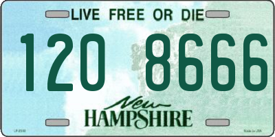 NH license plate 1208666