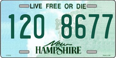 NH license plate 1208677