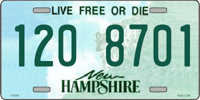 NH license plate 1208701