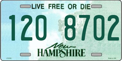 NH license plate 1208702