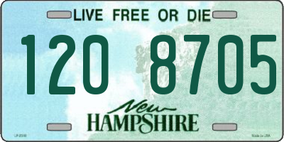 NH license plate 1208705