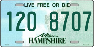 NH license plate 1208707