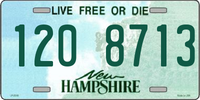 NH license plate 1208713