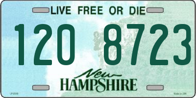 NH license plate 1208723