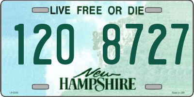 NH license plate 1208727