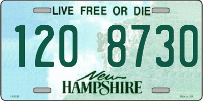 NH license plate 1208730