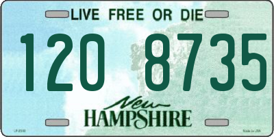 NH license plate 1208735