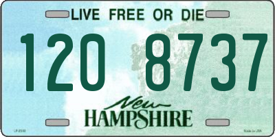 NH license plate 1208737