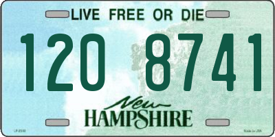NH license plate 1208741