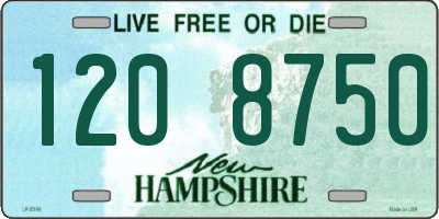 NH license plate 1208750