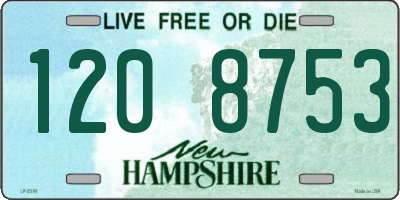 NH license plate 1208753