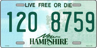 NH license plate 1208759