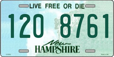 NH license plate 1208761
