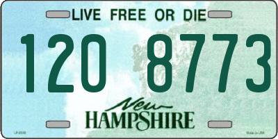NH license plate 1208773