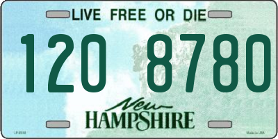 NH license plate 1208780