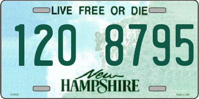 NH license plate 1208795