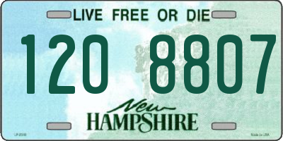 NH license plate 1208807