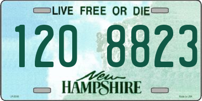 NH license plate 1208823