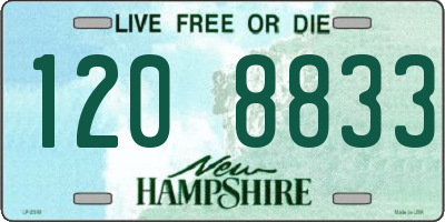 NH license plate 1208833