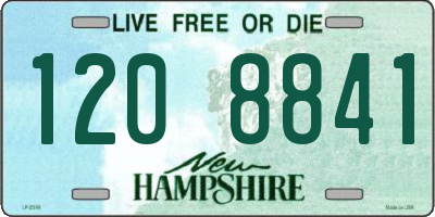 NH license plate 1208841