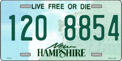 NH license plate 1208854