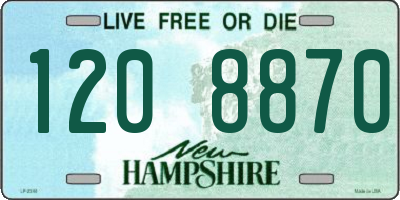 NH license plate 1208870