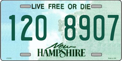 NH license plate 1208907