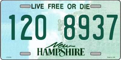 NH license plate 1208937