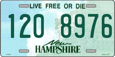 NH license plate 1208976
