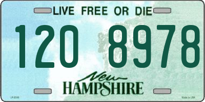 NH license plate 1208978