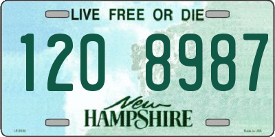 NH license plate 1208987