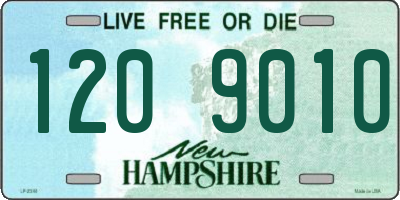 NH license plate 1209010
