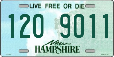 NH license plate 1209011
