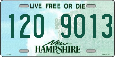 NH license plate 1209013