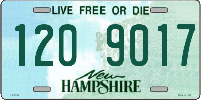 NH license plate 1209017