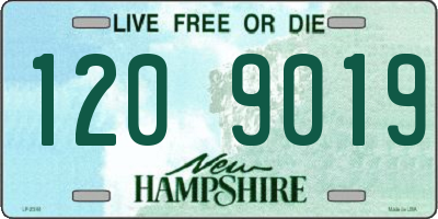 NH license plate 1209019