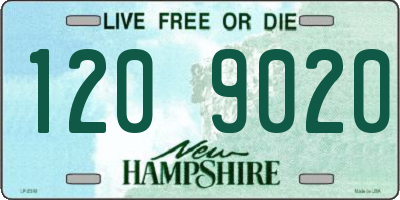 NH license plate 1209020
